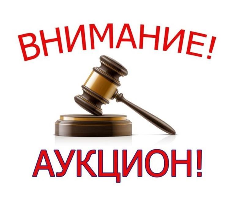 О проведении аукциона.